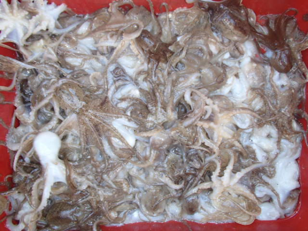 115.JPG