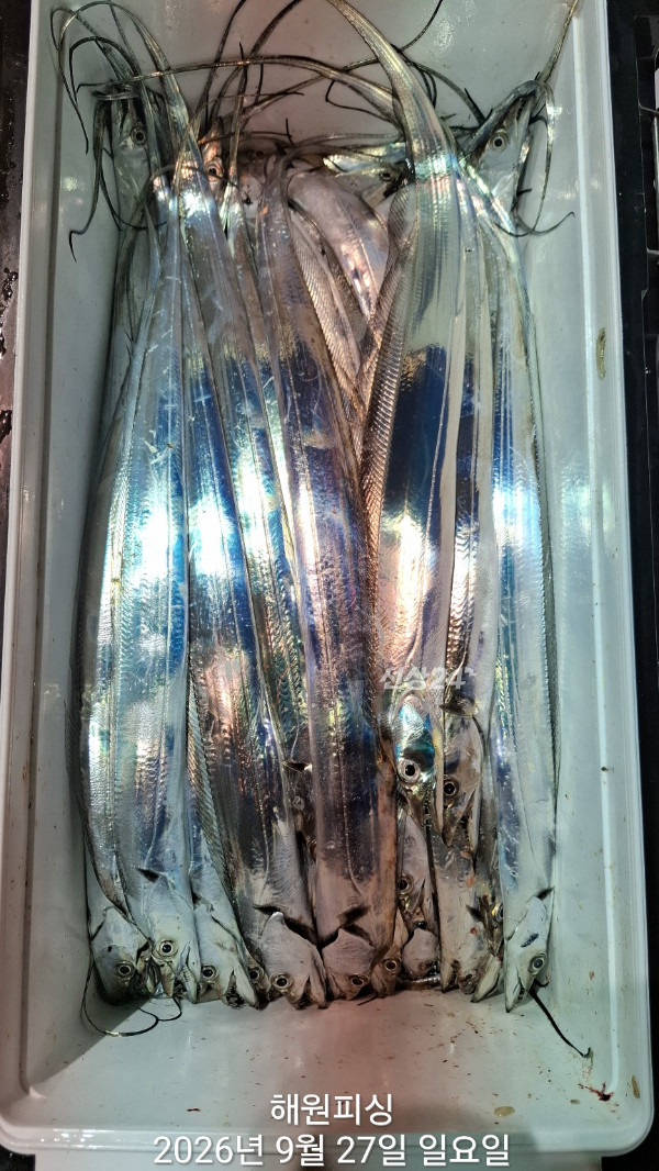 1000037022.jpg