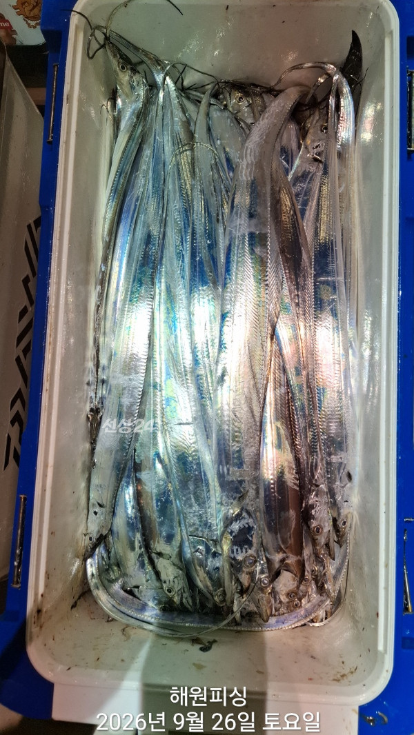 1000036998.jpg