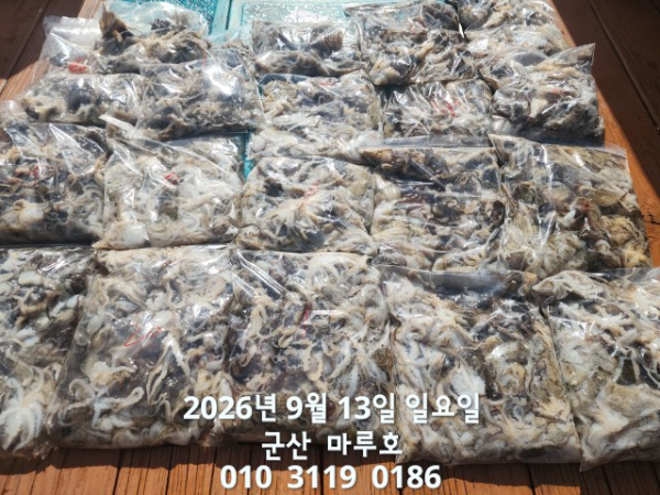 1000014582.jpg