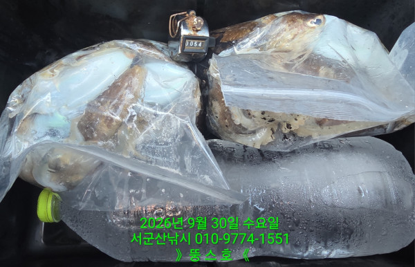 군산 선상낚시, 바다낚시 출조 전문 ☆서군산낚시☆_사진_20260930_2.jpg