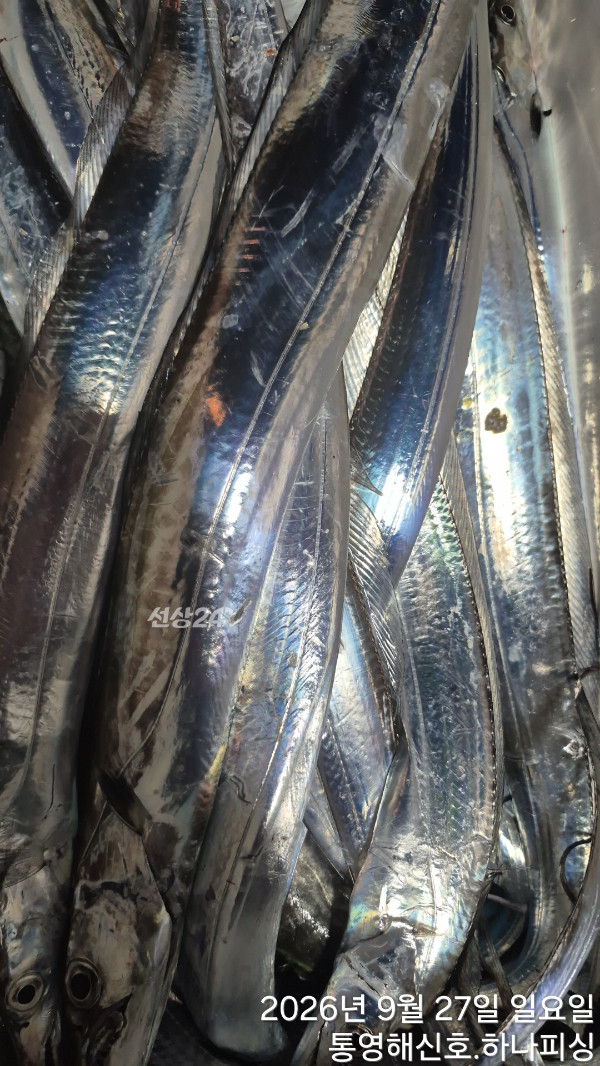 1790450252836.jpg