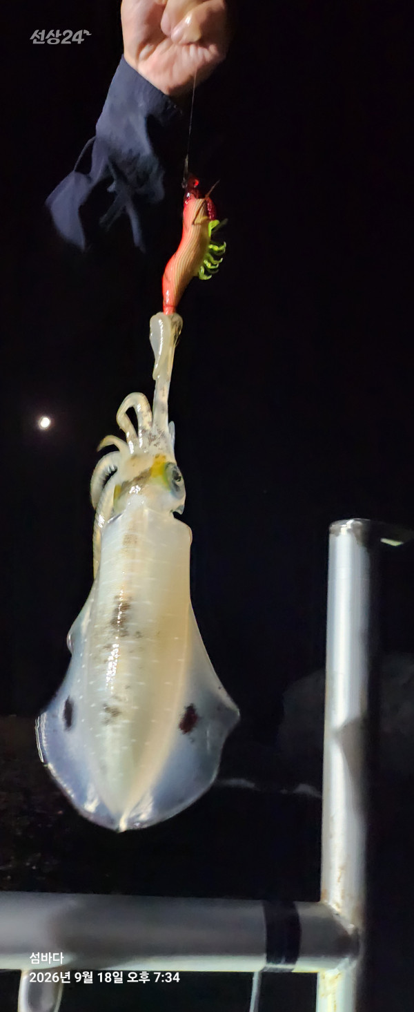 20260918_193451.jpg