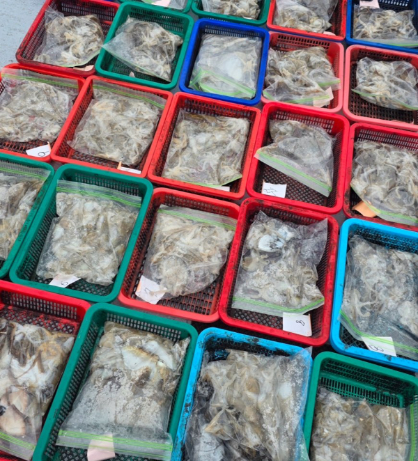 IMG_4654.jpeg