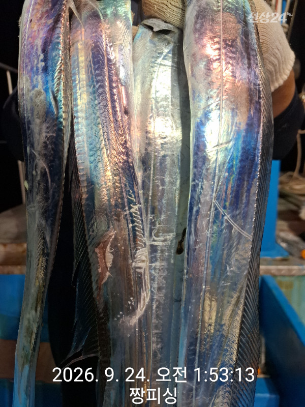 1000083293.jpg