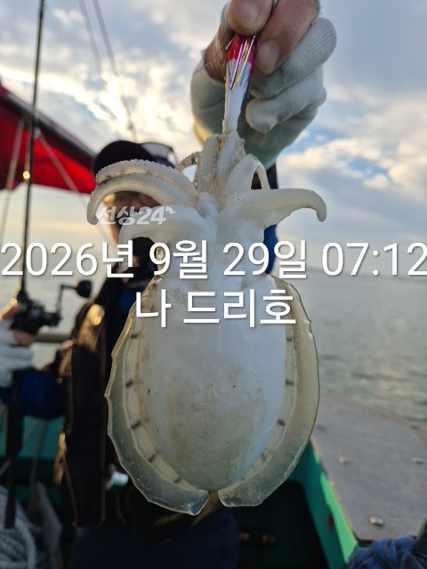 KakaoTalk_20260929_073419152_06.jpg