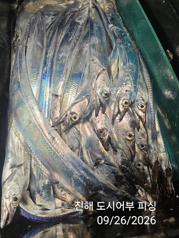 KakaoTalk_20260926_044028225_18.jpg