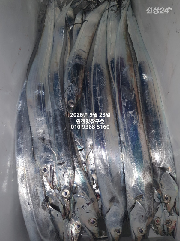 KakaoTalk_20260923_112349414_15.jpg