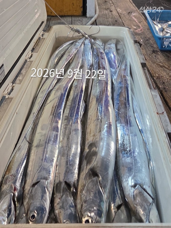 BDB24C5E-60DA-49BC-AFFB-61CAD96168B0.jpeg
