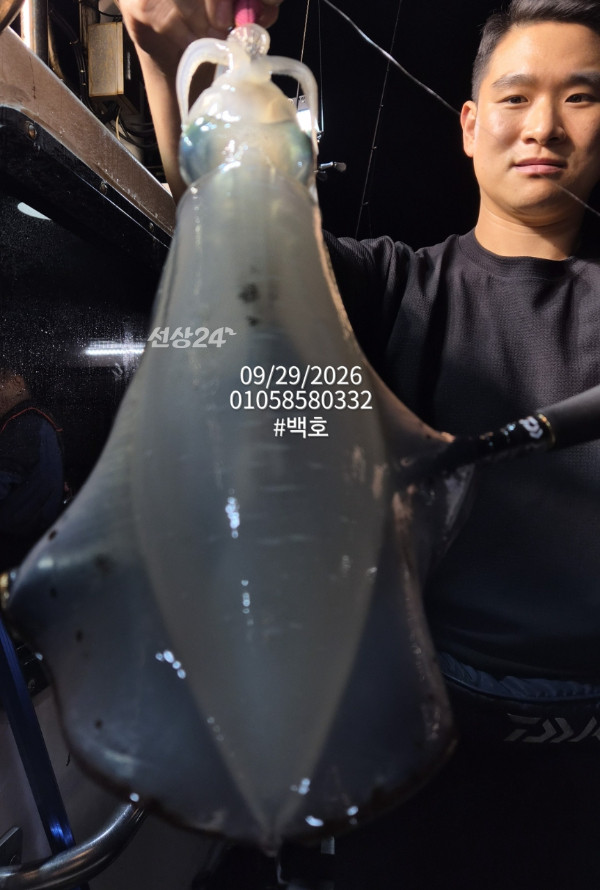 88130.jpg