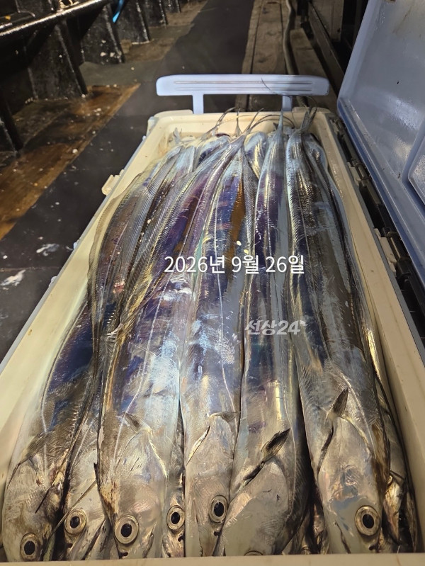 1330015E-A7B6-487E-A878-A2ADC26C5C44.jpeg