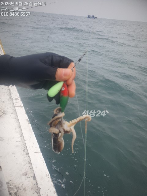 KakaoTalk_20260925_113941537_04.jpg