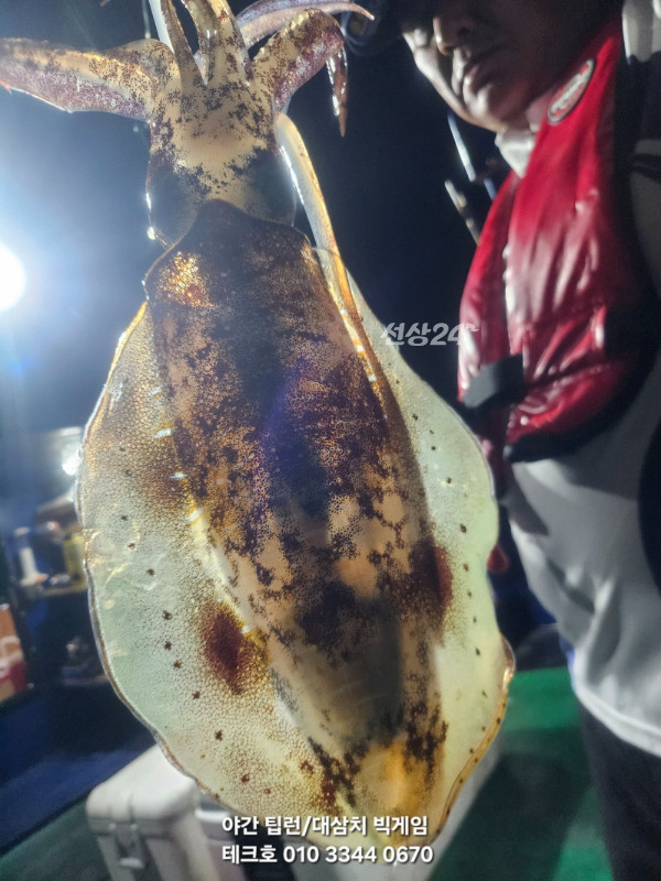 KakaoTalk_20260927_070440410_07.jpg