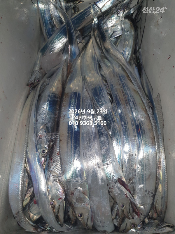 KakaoTalk_20260923_112349414_01.jpg