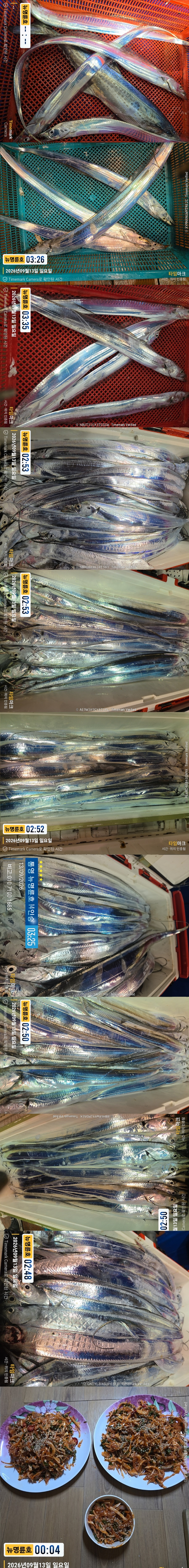 9-13갈치2.jpg