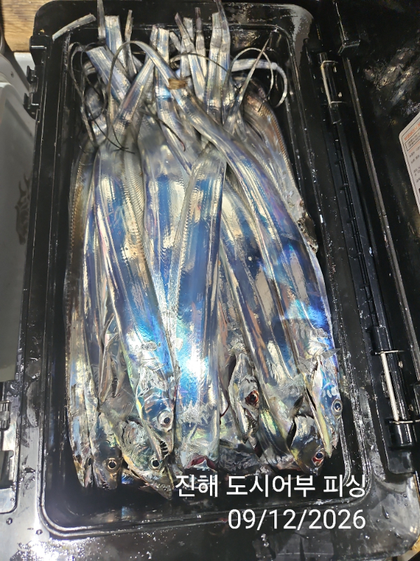 KakaoTalk_20260912_055008502_11.jpg
