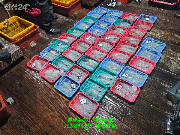 1000080696.jpg