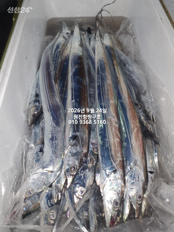 KakaoTalk_20260924_051010351_12.jpg