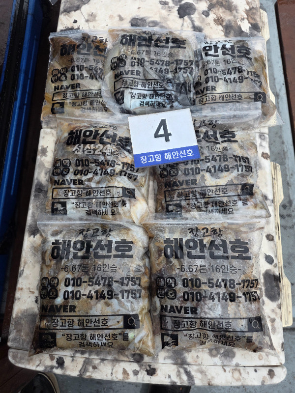 KakaoTalk_20260925_171817951.jpg