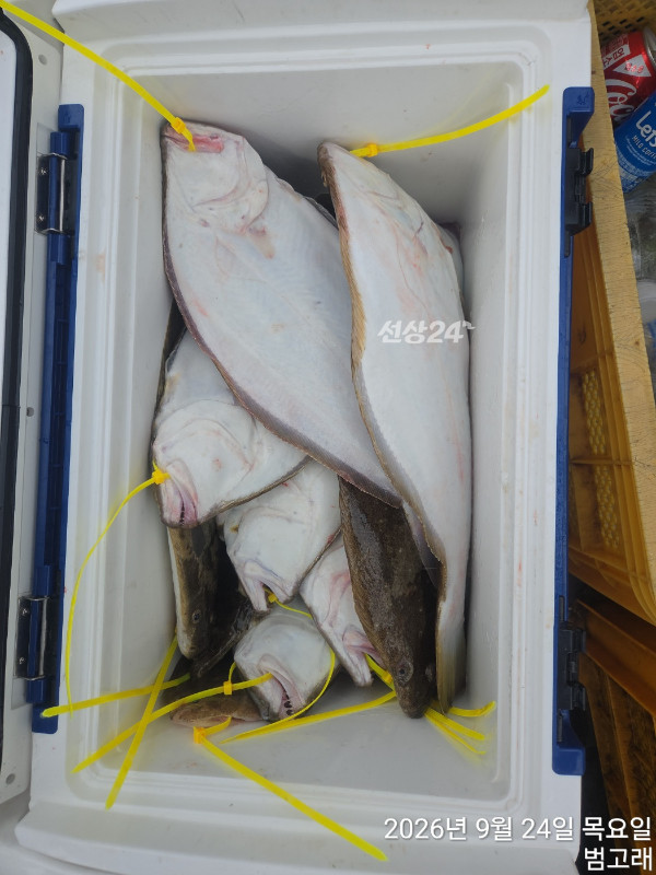 KakaoTalk_20260924_150106870_08.jpg