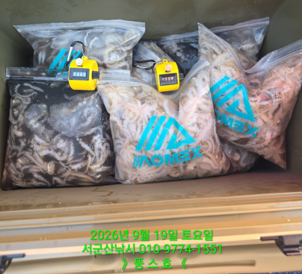 군산 선상낚시, 바다낚시 출조 전문 ☆서군산낚시☆_사진_20260919_4.jpg