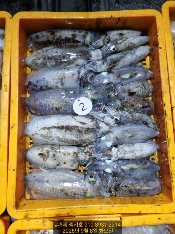 1000092902.jpg