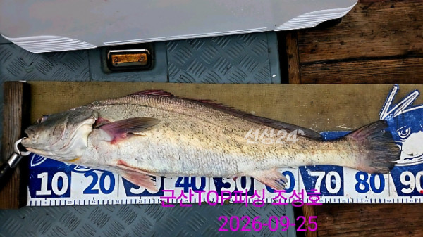 33574.jpg