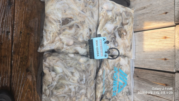 군산 선상낚시, 바다낚시 출조 전문 ☆서군산낚시☆_사진_20260923_2.jpg