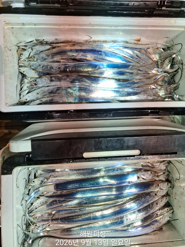 1000036691.jpg
