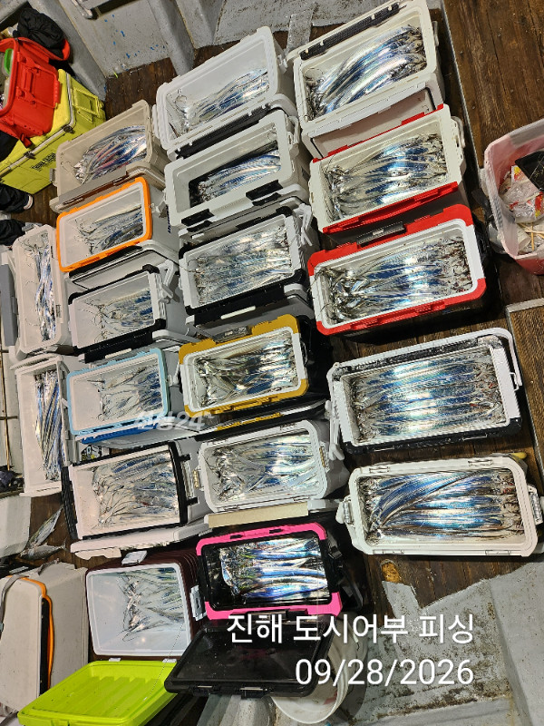KakaoTalk_20260928_054654622_11.jpg