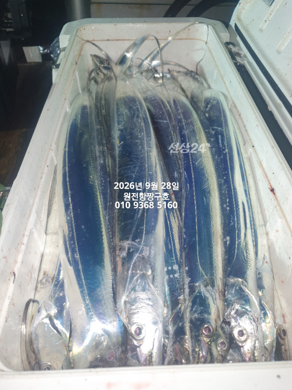 KakaoTalk_20260928_022330431.jpg