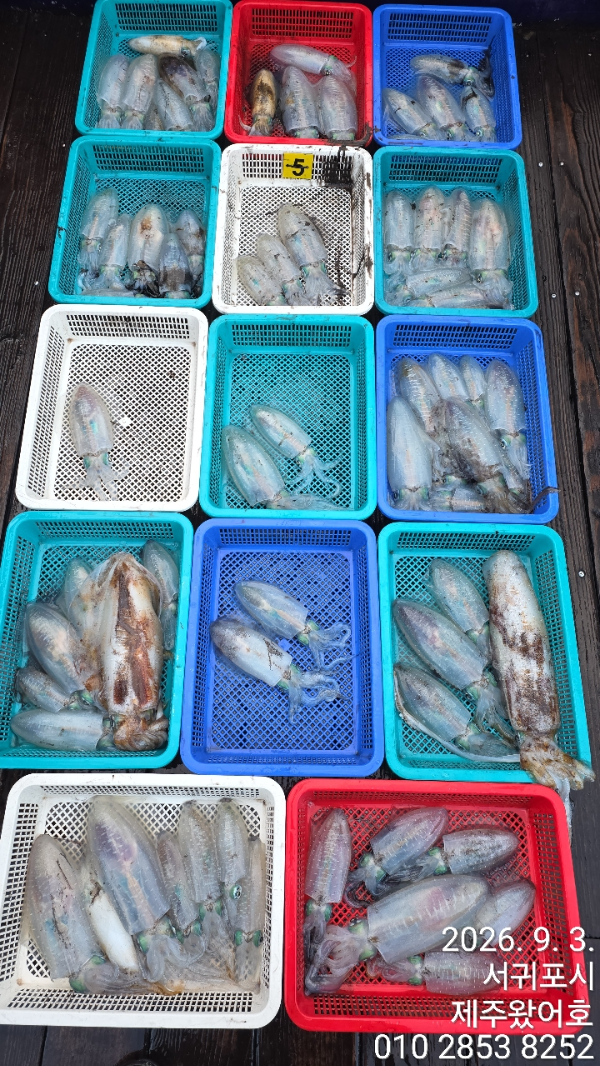 제주왔어호_사진_20260903_16.jpg