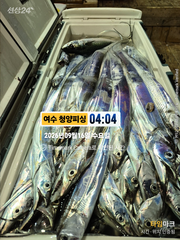 2026-09-16 04.04.49__(제목-여수 청양피싱).jpg