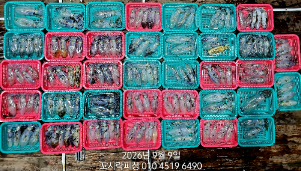 TimePhoto_20260909_015025.jpg