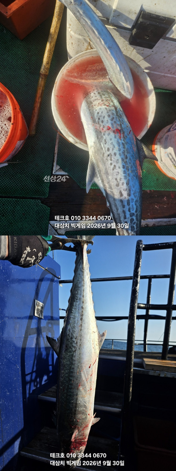 KakaoTalk_20260930_081926511_06-vert.jpg