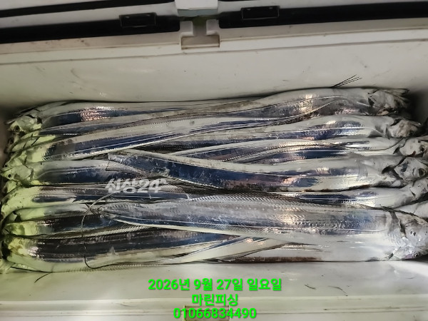 KakaoTalk_20260927_054116091_18.jpg