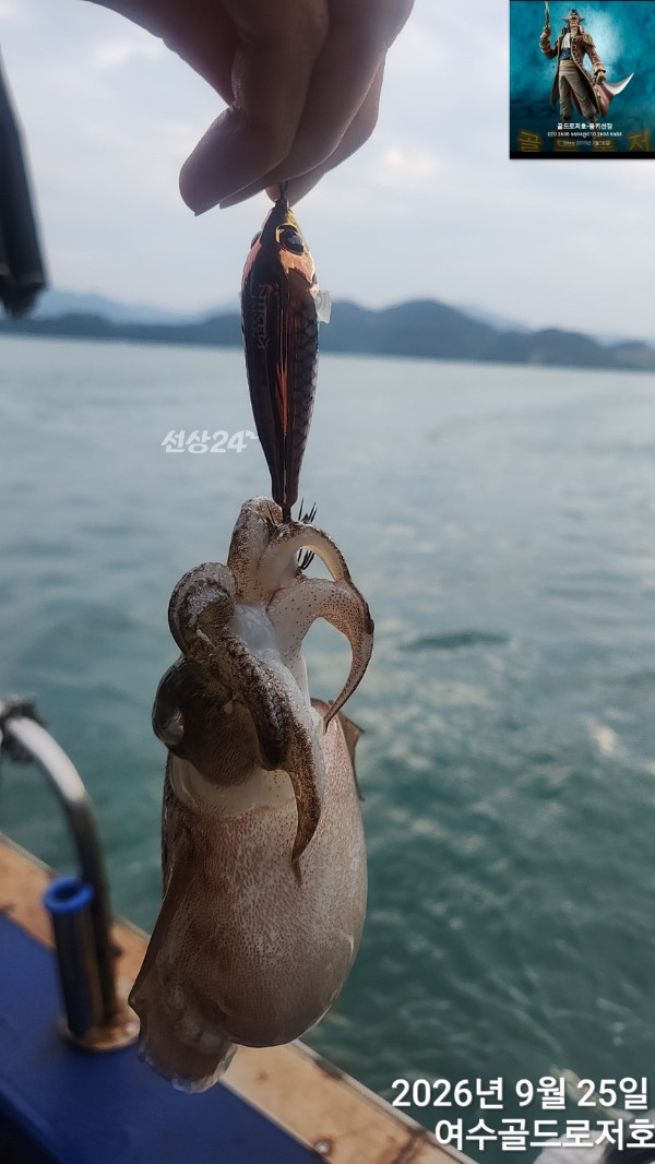 IMG_0698.jpeg
