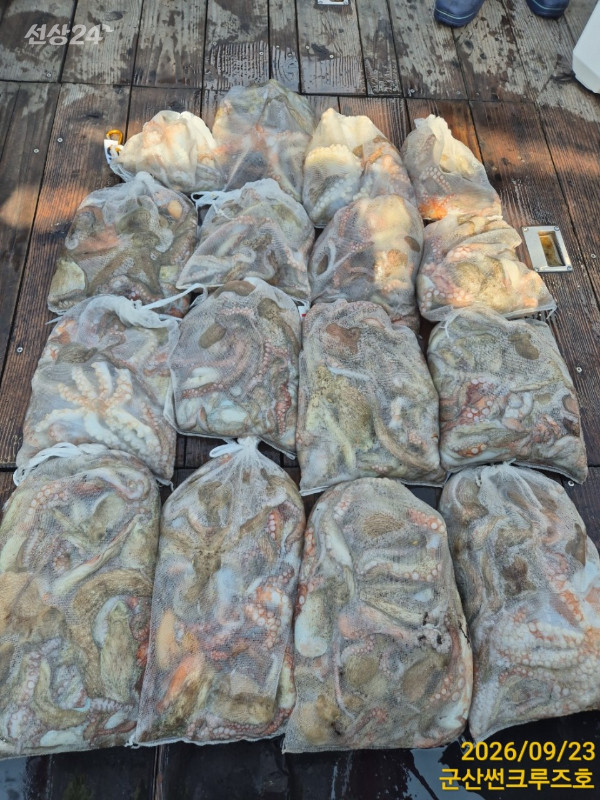 1000009191.jpg