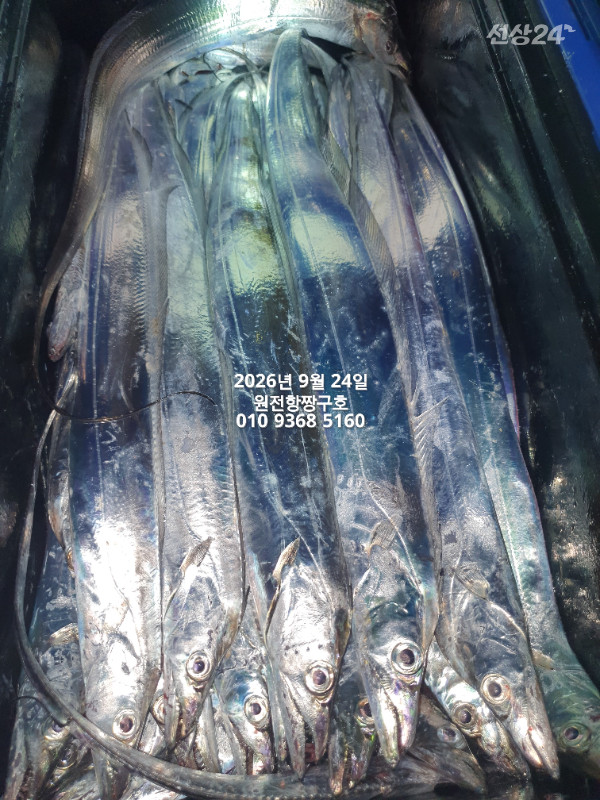 KakaoTalk_20260924_051010351_05.jpg