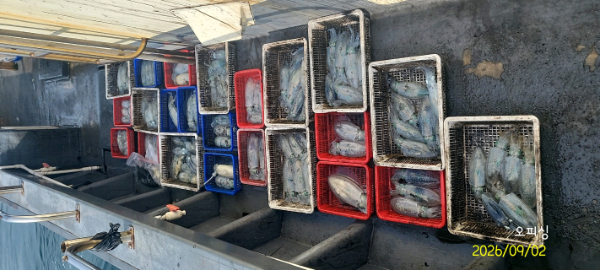 41473.jpg