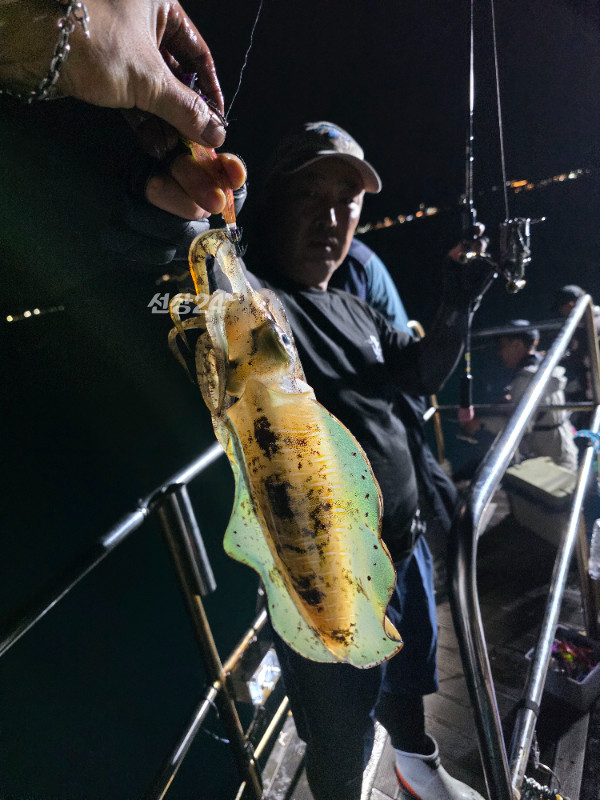 10426.jpg
