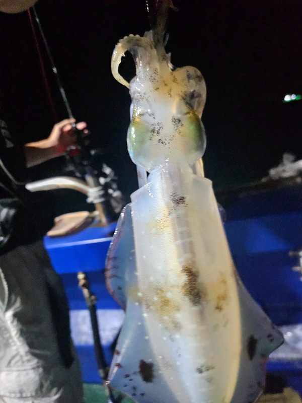 KakaoTalk_20260914_014814524_08.jpg