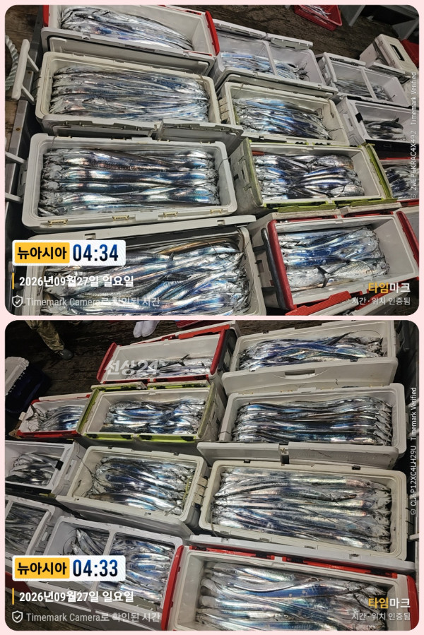 KakaoTalk_20260927_083449525_11-down.jpg