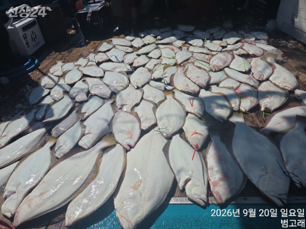 KakaoTalk_20260920_154419933_09.jpg