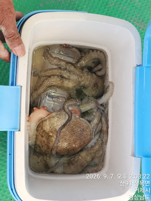 1788782880736.jpg