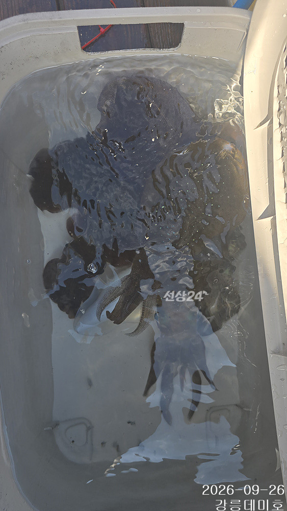 f0009.jpg