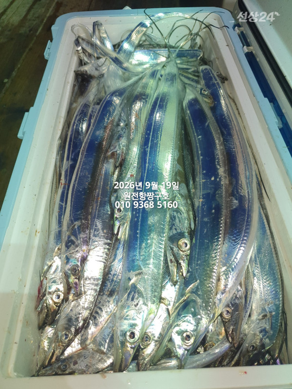 KakaoTalk_20260919_040224450.jpg