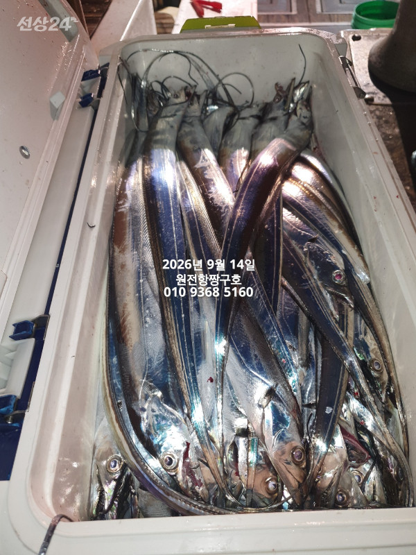 KakaoTalk_20260914_114003950_06.jpg