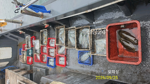 42144.jpg