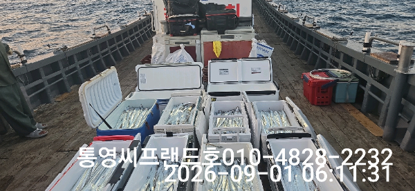 1788215541064.jpg
